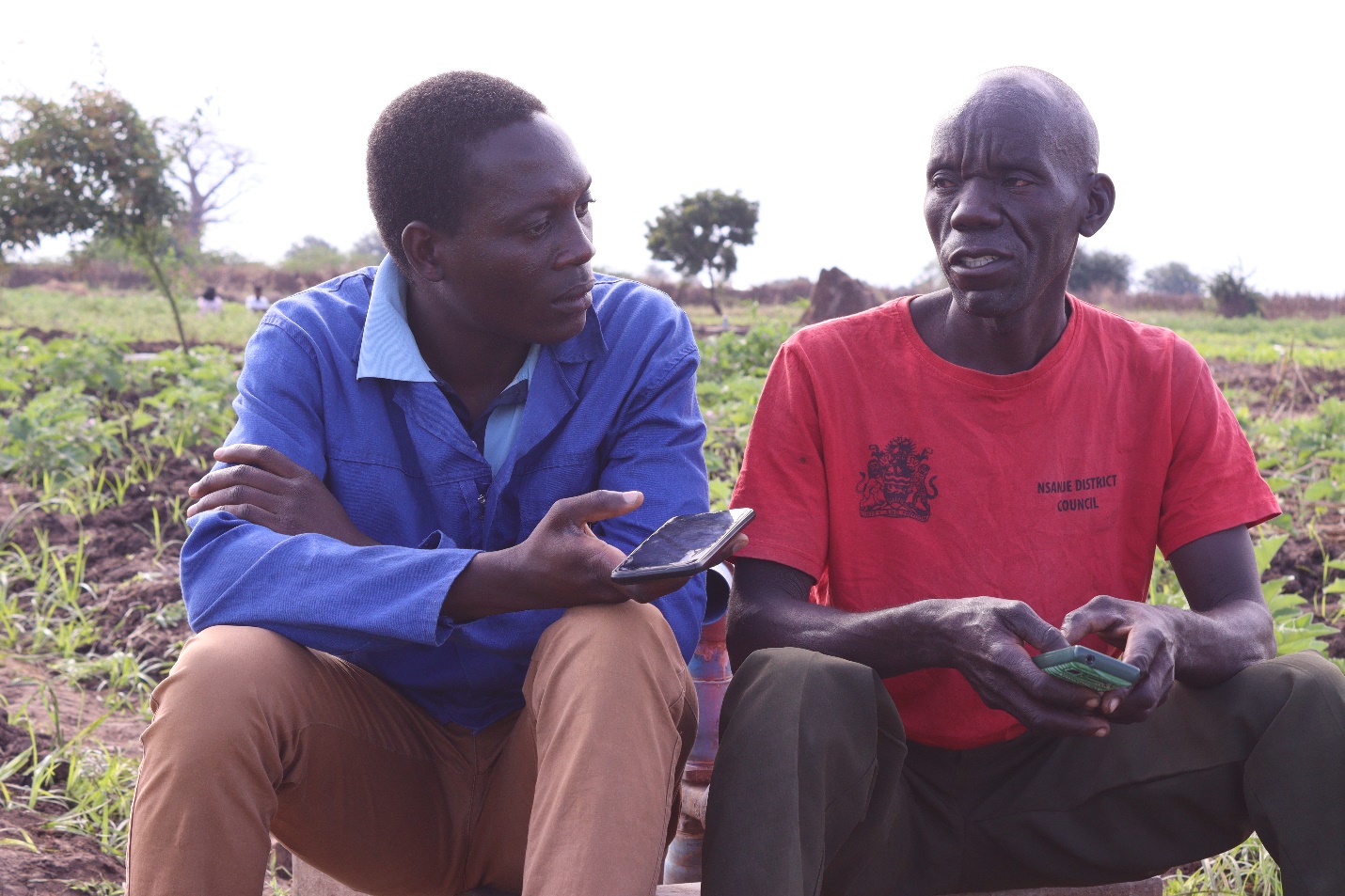 Nyafisi Irrigation Scheme Transforms Lives, Boosts Food Security in Nsanje