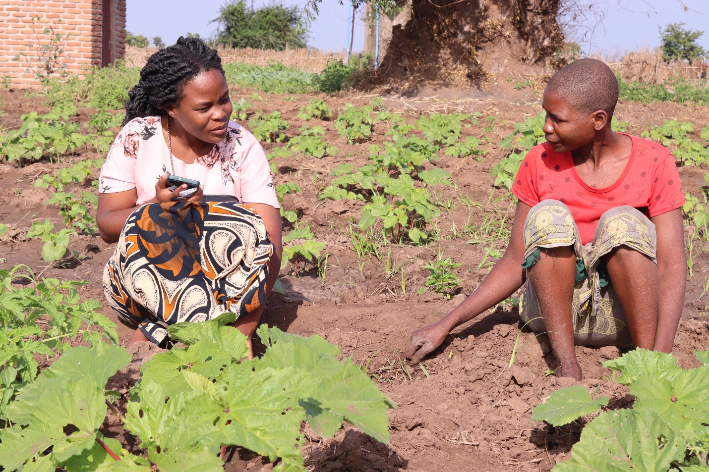 Agricultural Extension Delivery: The Missing Link to Unlocking Malawi’s Farming Potential